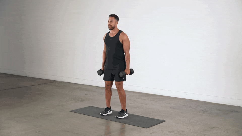 DB Hammer Curl