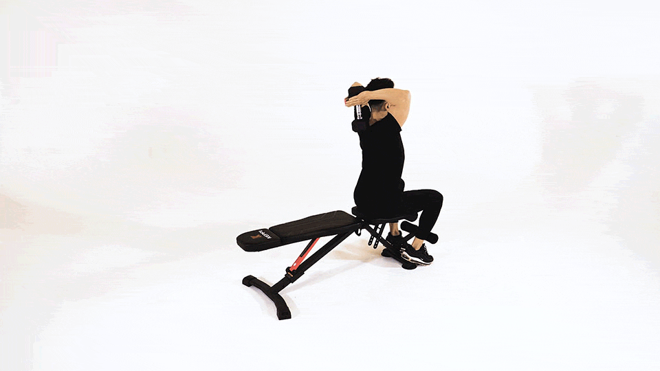 Overhead DB Triceps Extension