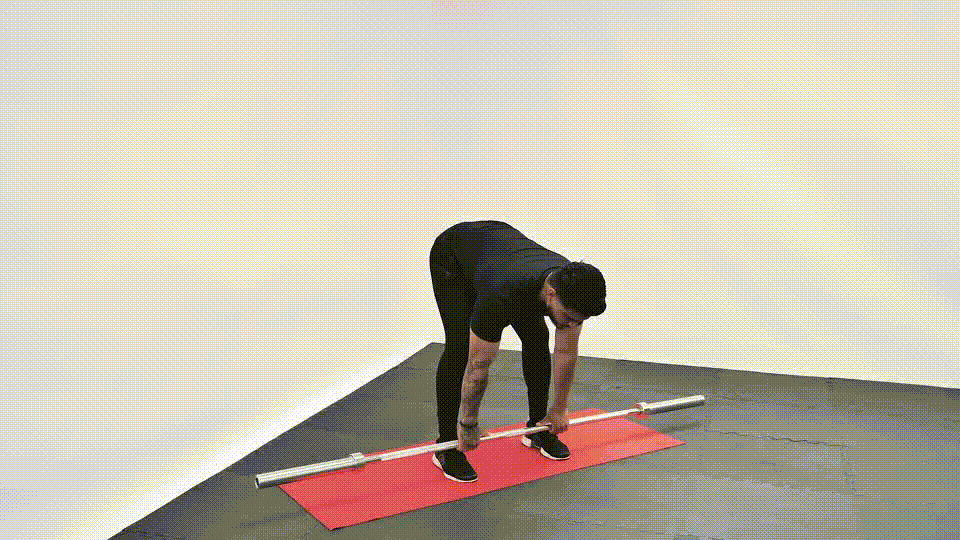 BB Romanian Deadlift