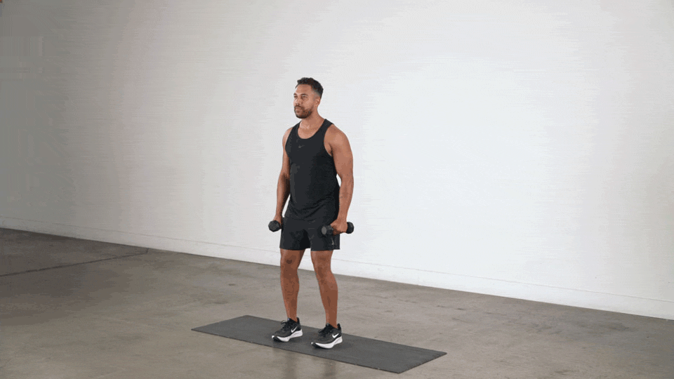 DB Lateral Raise