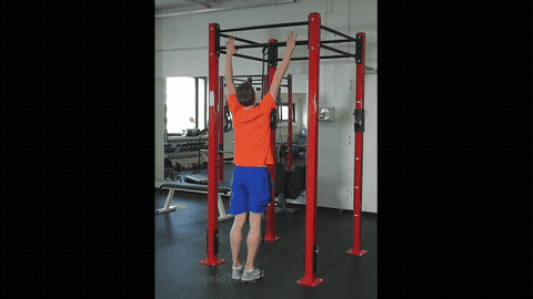 Knee-Band-Assisted Pull-Up