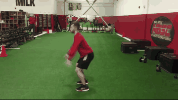Squat jump and stick landing demonstration